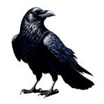 Raven